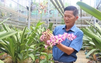 Một ông tỷ phú nông dân ở Đắk Lắk trồng hoa lan, trồng cây cảnh cho doanh thu 10 tỷ/năm