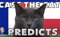 Mèo tiên tri Cass dự đoán kết quả Pháp vs Ba Lan