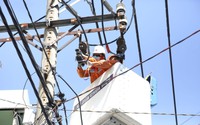 TP.HCM yêu cầu tháo gỡ khó khăn, vướng mắc cho các công trình lưới điện