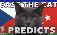 Mèo tiên tri Cass dự đoán kết quả CH Czech vs Thổ Nhĩ Kỳ