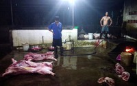 Trưởng ngành thú y: "Người dân Việt Nam đang ăn những sản phẩm chăn nuôi rất bẩn"