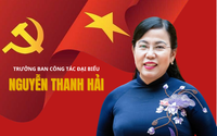 Infographic: Chân dung và sự nghiệp tân Trưởng Ban Công tác đại biểu Nguyễn Thanh Hải 