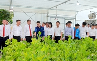 Ấn tượng vườn thực nghiệm "view triệu đô" của Supe Lâm Thao