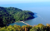Cà Mau thành lập Khu bảo tồn biển 27.000 ha