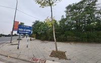 Giá đất vùng ven Hà Nội tăng mạnh, liệu có "thổi giá"?