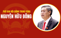 Infographic: Chân dung tân Phó Trưởng ban Ban Nội chính Trung ương Nguyễn Hữu Đông