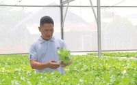Hội Nông dân Long An hỗ trợ nông dân giỏi tham gia các HTX, ứng dụng công nghệ cao 