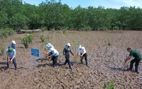 Hội Nông dân Hải Phòng phát động, trồng 200 cây chắn sóng hưởng ứng ngày Môi trường thế giới
