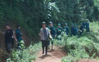 Tìm thấy người phụ nữ ở Hòa Bình mất tích khi vào rừng lấy măng