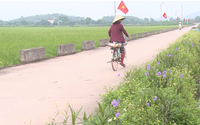 Một xã của tỉnh Bắc Giang, chính quyền và nhân dân đồng lòng xây dựng xã nông thôn mới nâng cao