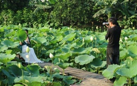 Chủ đầm sen tại Hà Nội bội thu nhờ mốt chụp ảnh hoa sen