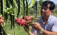 Bình Thuận mang trái thanh long, nông sản OCOP sang Lào quảng bá, giới thiệu với du khách quốc tế