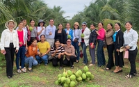 OBC Việt Nam và Hội LHPN huyện Bắc Bình tập huấn đề án khởi nghiệp 939 và mô hình nông nghiệp sạch ở Bình Thuận