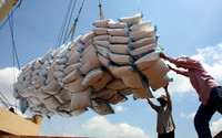 VFA đề xuất áp dụng giá sàn trong xuất khẩu gạo, doanh nghiệp trong ngành phản ứng ra sao?