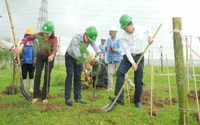Petrovietnam: Trồng cây xanh là giải pháp quan trọng trong chuyển dịch năng lượng