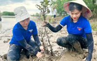 Hàng trăm thanh niên lội bùn trồng cây hưởng ứng Ngày Môi trường thế giới ở Hà Tĩnh