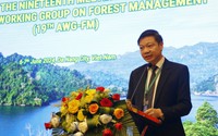 Thành viên các nước ASEAN cùng cam kết thực hiện quản lý rừng bền vững
