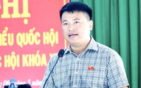 Tỉnh uỷ Quảng Ngãi không đồng ý về kết quả kiểm điểm sai phạm đối với Giám đốc Sở KHCN