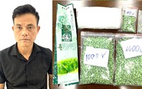 Nhận "tiền công", vận chuyển lượng lớn ma túy từ Lào về Việt Nam