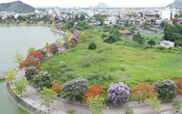 Hồ Đồng Chiệc - "lá phổi xanh" đẹp như mơ giữa lòng TP.Thanh Hóa