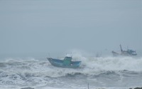 Chuyên gia dự báo: Tháng 7 khả năng xuất hiện 1-2 cơn bão, áp thấp nhiệt đới ảnh hưởng đến đất liền Việt Nam