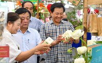 Lễ hội Sen Hà Nội đạt doanh thu hơn 11 tỷ đồng, mở ra kỳ vọng mới cho nông nghiệp Thủ đô