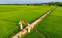 Làm nông thôn mới nâng cao, người dân huyện Phú Ninh của tỉnh Quảng Nam thu nhập 55,5 triệu đồng/người/năm