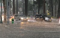 TP.HCM mưa lớn trên diện rộng, người dân vùng trũng thấp đề phòng ngập