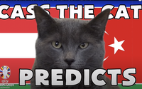 Mèo tiên tri Cass dự đoán kết quả Áo vs Thổ Nhĩ Kỳ