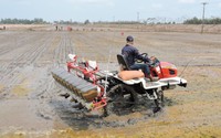 Long An khởi động Đề án trồng lúa chất lượng cao, phấn đấu đến năm 2023 có 125.000ha vùng trồng lúa phát thải thấp