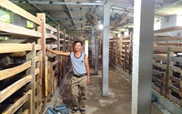 Anh nông dân Nghệ An “cưa sừng” lấy vàng, cả làng thán phục 