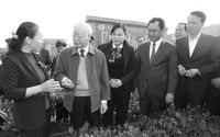 Tổng Bí thư Nguyễn Phú Trọng với nông nghiệp, nông dân, nông thôn: Dấu ấn trong ba Nghị quyết lịch sử (Bài 1)