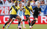 Tỷ lệ cược Argentina vs Ecuador (8h ngày 5/7, tứ kết Copa America 2024): Khó cản Albiceleste