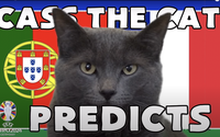Mèo tiên tri Cass dự đoán kết quả Bồ Đào Nha vs Pháp