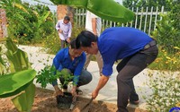 Trồng hoa, trồng cây cảnh ven đường ở một xã nông thôn mới kiểu mẫu tỉnh Tiền Giang, làng đẹp, phố sạch