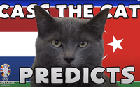Mèo tiên tri Cass dự đoán kết quả Hà Lan vs Thổ Nhĩ Kỳ