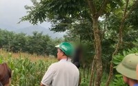 Yên Bái: Xảy ra 2 vụ treo cổ trong 1 ngày tại huyện Văn Yên