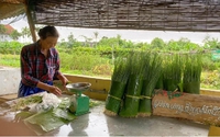 Cũng trồng rau thôi, mà ở nơi này của Huế, nông dân trồng kiểu gì mà trước bán khó, sau bán càng dễ hơn?