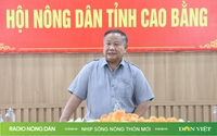 Nhịp sống nông thôn mới ngày 16/9/2024