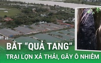 Dân bắt “quả tang” trại lợn xả thải ra môi trường ở Đông Hưng (Thái Bình) (Video kỳ 1)