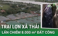 Từ việc xả thải “lòi ra” hàng loạt sai phạm đất đai của trại lợn tại Đông Hưng, Thái Bình (Video kỳ 2)