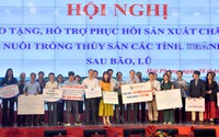 Doanh nghiệp trao tặng tiền, con giống, thức ăn... trị giá trên 190 tỷ đồng cho các địa phương thiệt hại do bão số 3