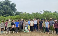 Lào Cai: Hỗ trợ hơn 1 tấn phân bón để hội viên nông dân vùng lũ khôi phục sản xuất