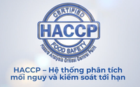 Chủ động áp dụng tiêu chuẩn quốc tế giúp doanh nghiệp nâng cao năng suất