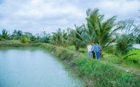 Đem loài “thủy quái” ở sông Sêrêpốk vô nuôi ao đất, bắt lên toàn con to bự, hễ nói bán là hết sạch