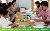 Nhịp sống nông thôn mới ngày 24/01/2025