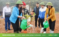 Nhịp sống nông thôn mới ngày 24/02/2025