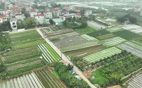 Cán bộ, công chức có được thừa kế đất nông nghiệp không?