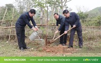 Nhịp sống nông thôn mới ngày 03/03/2025