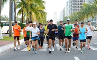 Hơn 7.000 VĐV tham gia tranh tài ở giải Danang International Marathon 2025